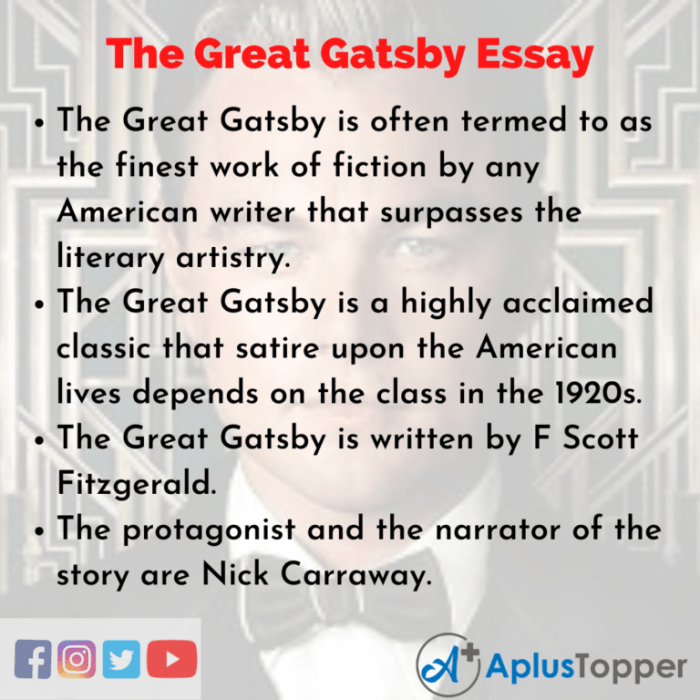 Essay topics on the great gatsby