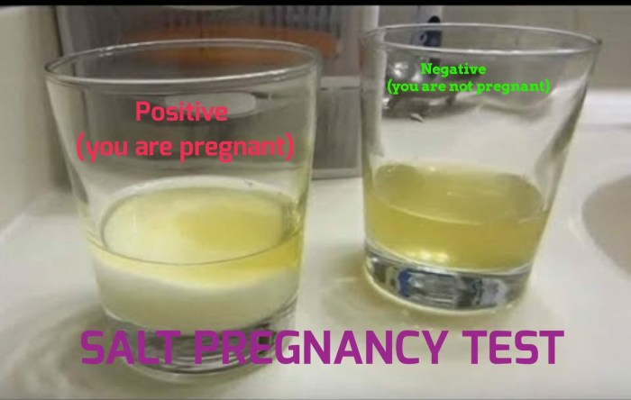 Does coffee dilute urine for pregnancy test