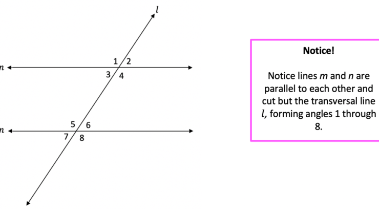 Quiz parallel lines and transversals