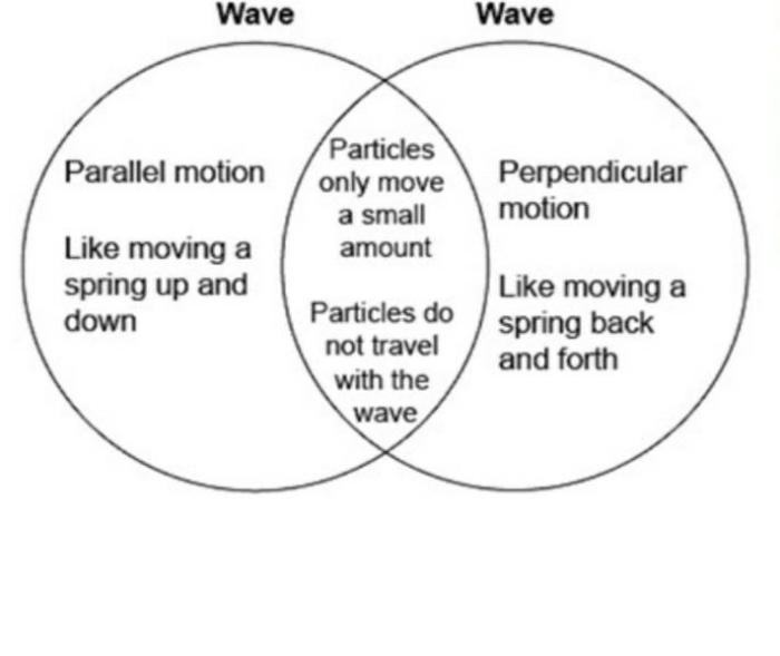 Mechanical and electromagnetic waves venn diagram