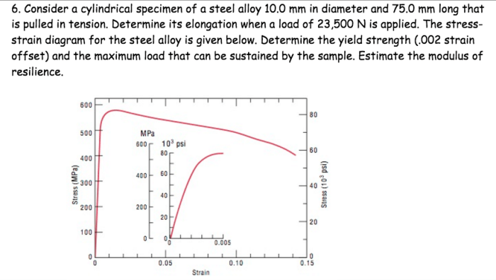 Cylindrical specimen transcribed