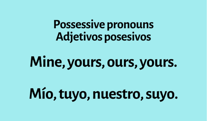 Fill in the blanks with the appropriate possessive adjectives.